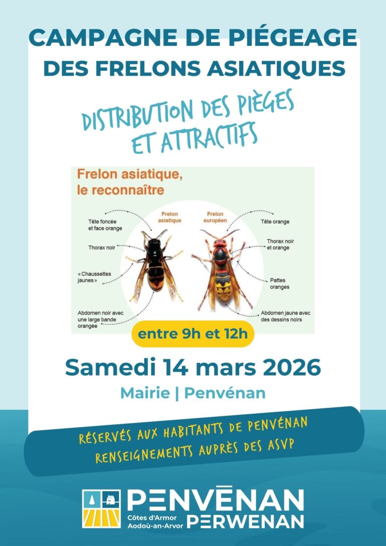 Début de la campagne de piégeage des frelons asiatiques